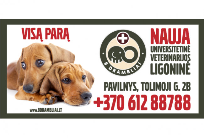 Atidaroma pirmoji Universitetinė veterinarijos ligoninė Vilniuje Atidaroma pirmoji Universitetinė veterinarijos ligoninė Vilniuje
